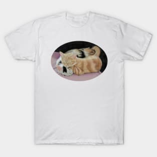 Sleeping Kittens T-Shirt